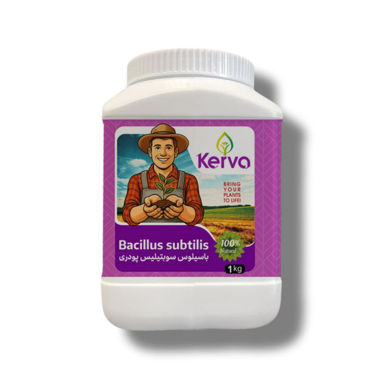 کود زیستی جامد باسیلوس سوبتیلیس یک کیلویی کروا